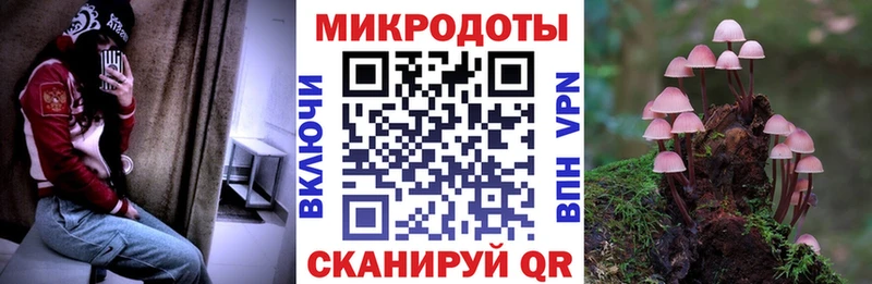 МЕГА вход  закладка  Сосновка  Псилоцибиновые грибы Magic Shrooms 